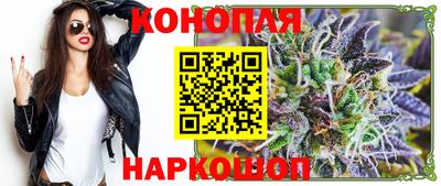 крисы Обь
