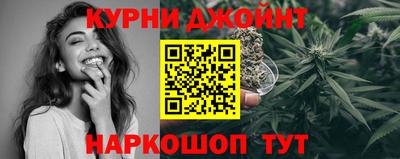 крисы Обь